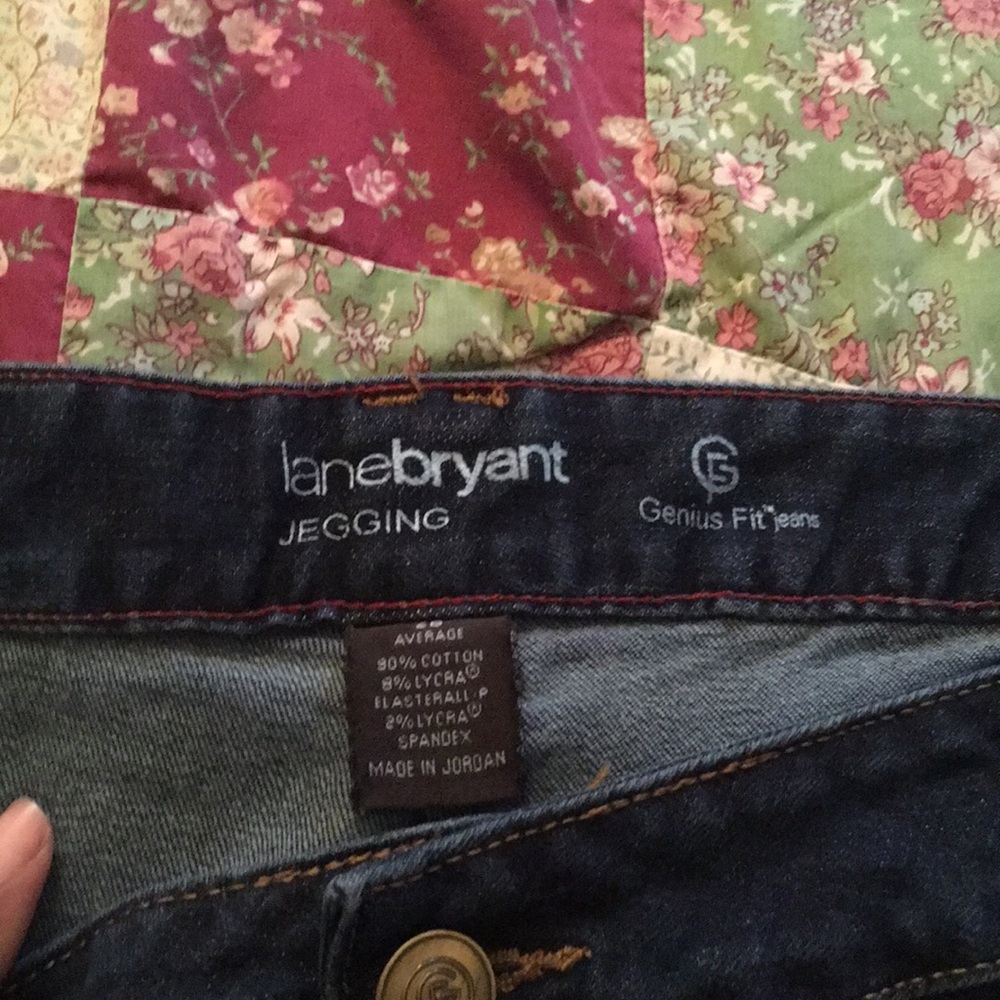 Lane Bryant Jeggings in excellent condition